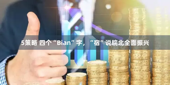 5策略 四个“Bian”字，“宿”说皖北全面振兴